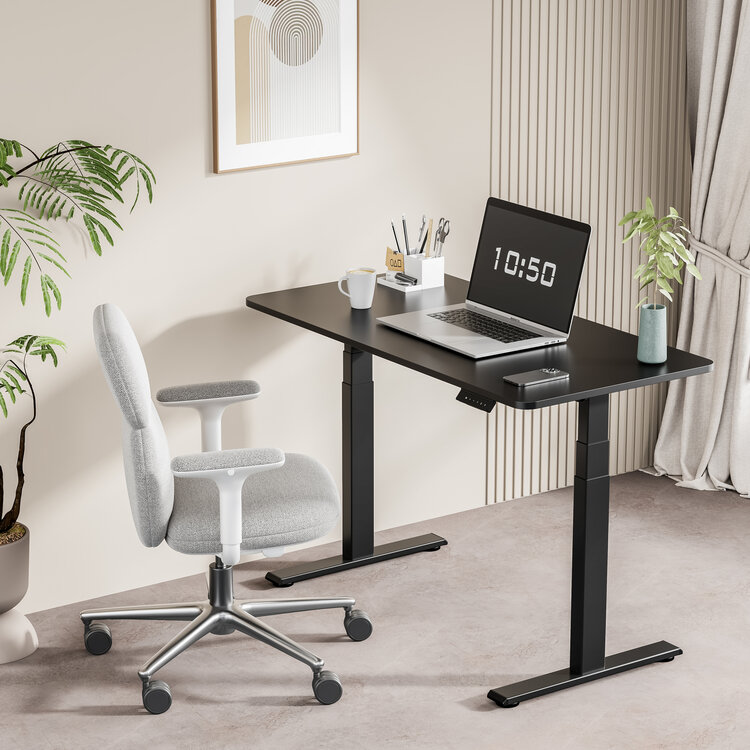 ErgoPrice | Elektrisch Zit-Sta Bureau