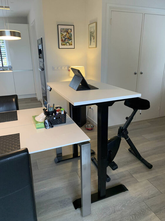 StudyDesk Pro | Zit-sta bureau | Worktrainer