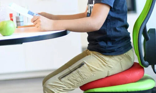 voorjaar Verbeteren Verzorgen Sissel Sitfit Plus seat cushion | Make your chair active