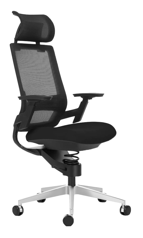Healthy back office store chair