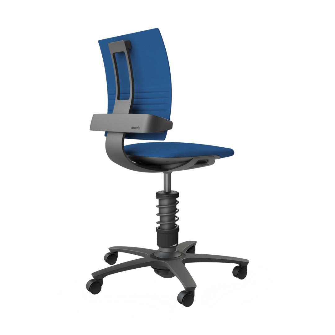 Swopper on sale chair review