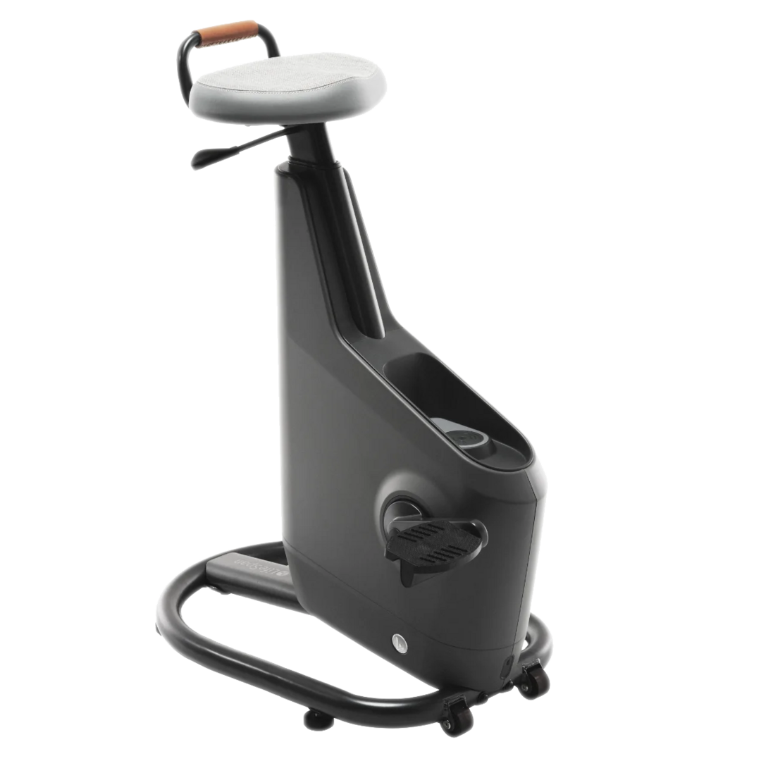 Lifespan bikes store