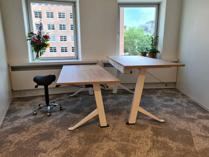 Elektrisch Zit-Sta Bureau - Y-Desk