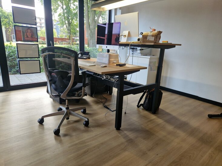 Double Electric Sit-Stand Desk - Honmove Duo - Stable double desk - Worktrainer.com