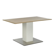 Elektrische kolomtafel Linak Bary Worktrainer.nl