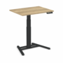 Elektrische zit-sta tafel - OneLeg - 1 poot - worktrainer.nl