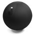 Black Vluv Leiv sitting ball Worktrainer.com