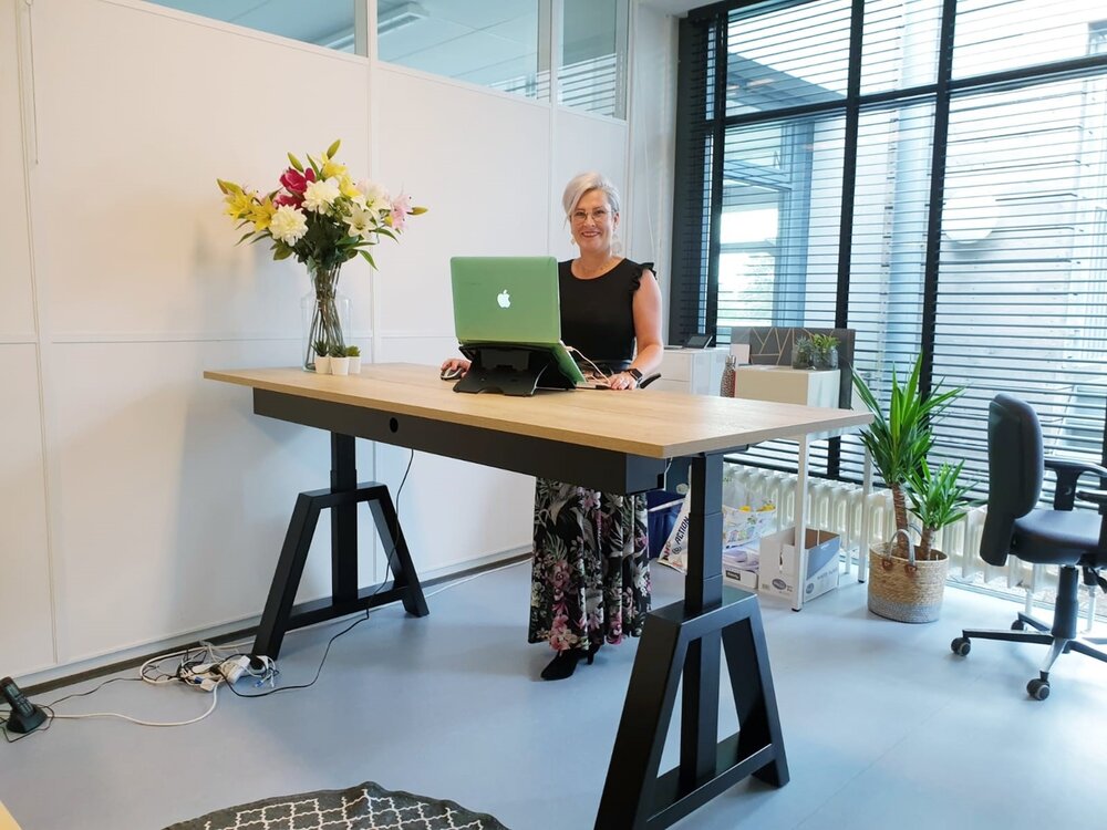 OakDesk | Electric Sit-Stand Desk
