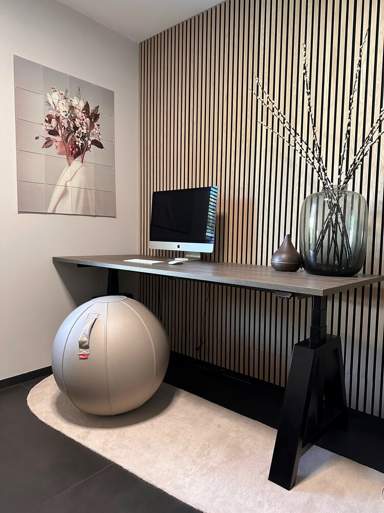 Office Ball Artificial Leather | Chair ball