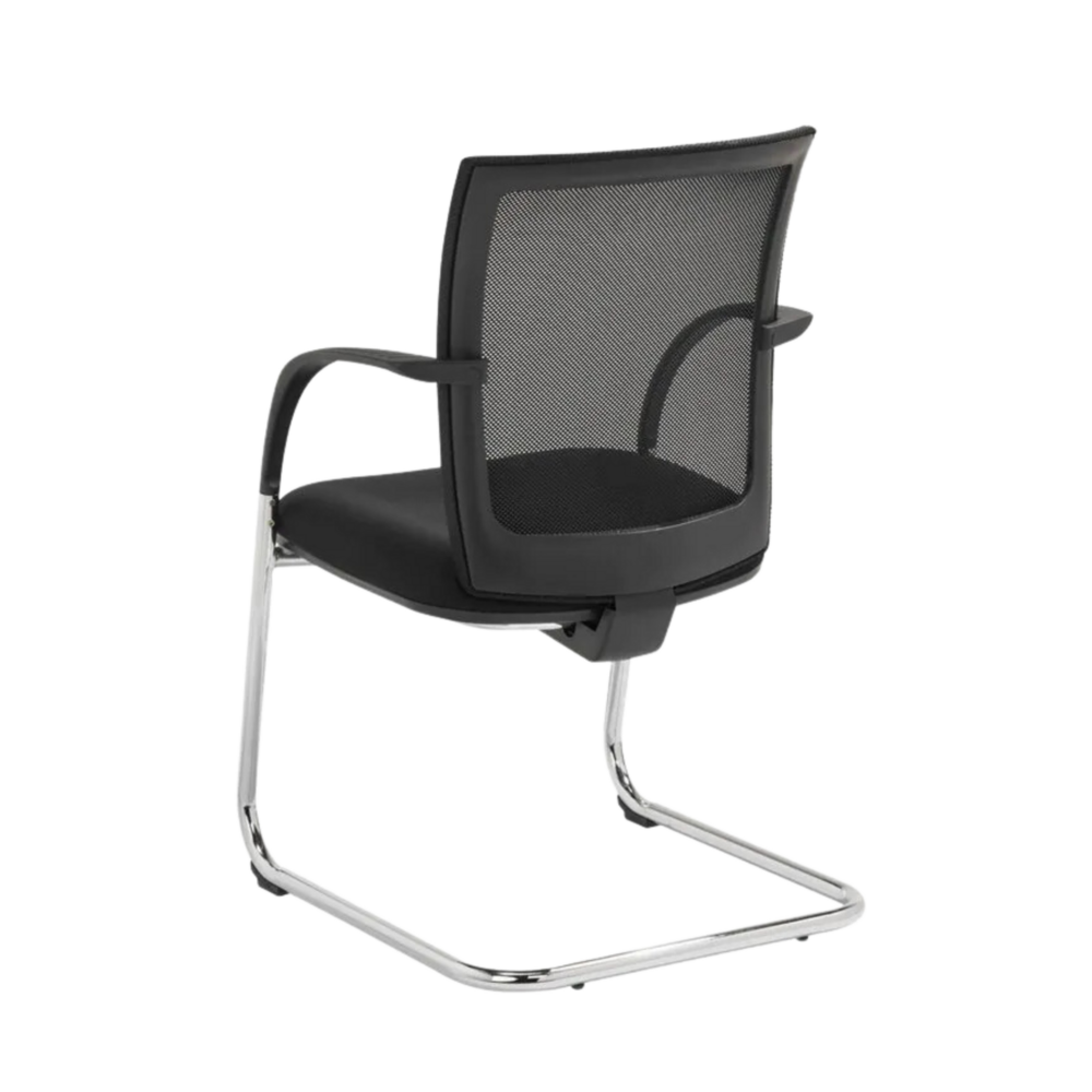 Meeting Chair RANA-S