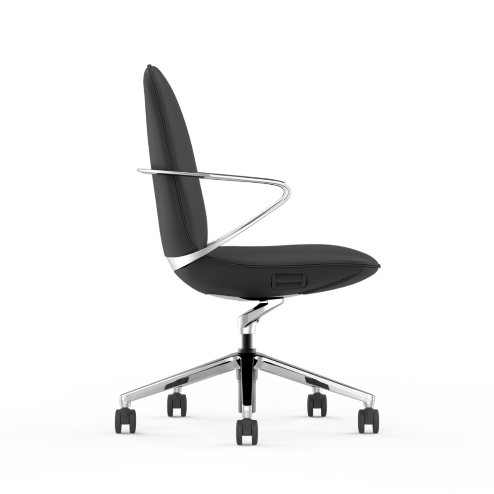 Amola | Conference chair