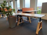 Design Hoog Laag Bureau - Elektrisch Zit-Sta Bureau - OakDesk - Worktrainer.nl 