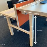 Double Electric Sit-Stand Desk - Honmove Duo