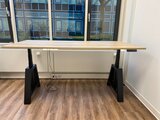 Design Hoog Laag Bureau - Elektrisch Zit-Sta Bureau - OakDesk - Worktrainer.nl 