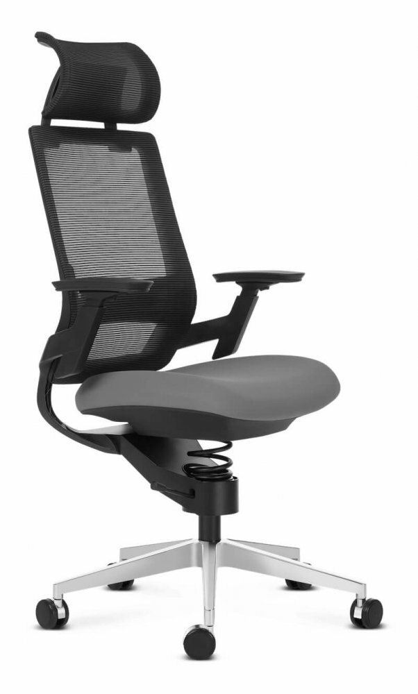 Adaptic Comfort Office Chair for a healthy back