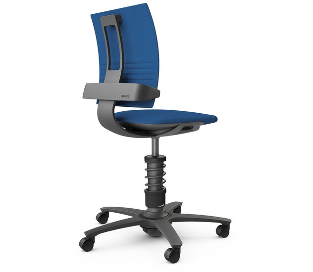 Aeris 3Dee | Active Office Chair 