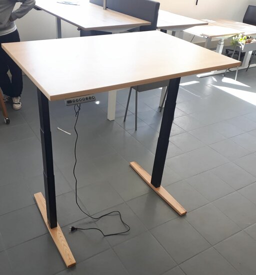 DEMO S270 | Electric Sit-Stand Desk