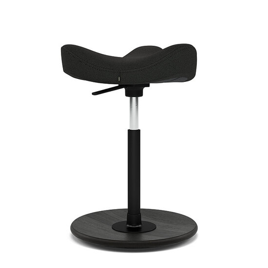 2nd Chance | Varier Move | Sit-Stand Saddle Stool 