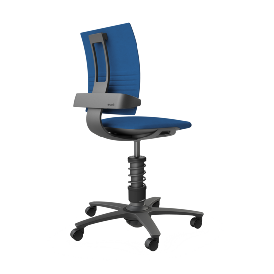 Aeris 3Dee | Active Office Chair 