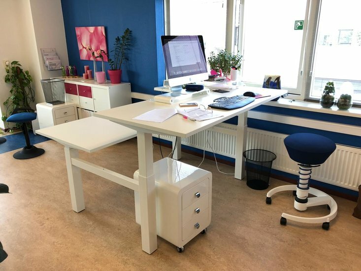 2nd Chance | Honmove Duo | Double Electric Sit-Stand Desk