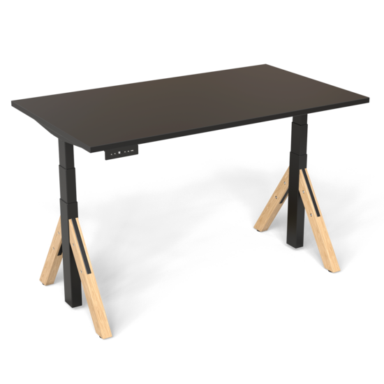 EkkoDesk | Electric Sit-Stand Desk