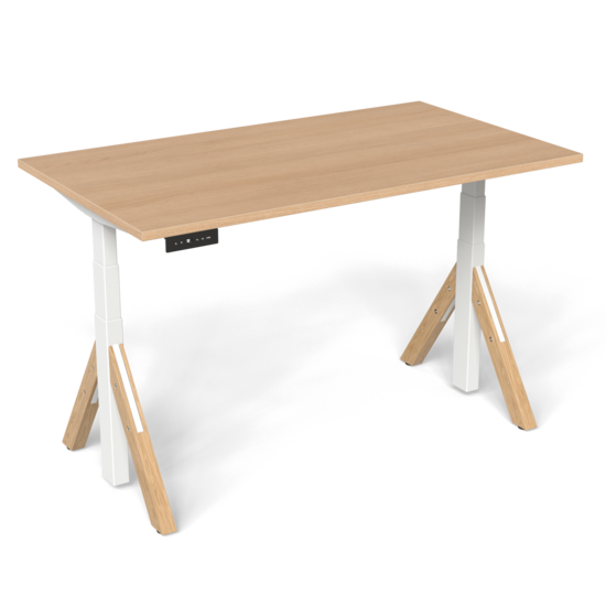 EkkoDesk | Electric Sit-Stand Desk