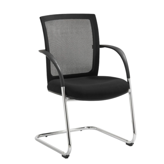 Meeting Chair RANA-S