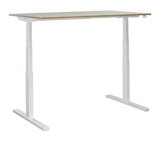 Sit Stand Desk Linak Height Adjustable